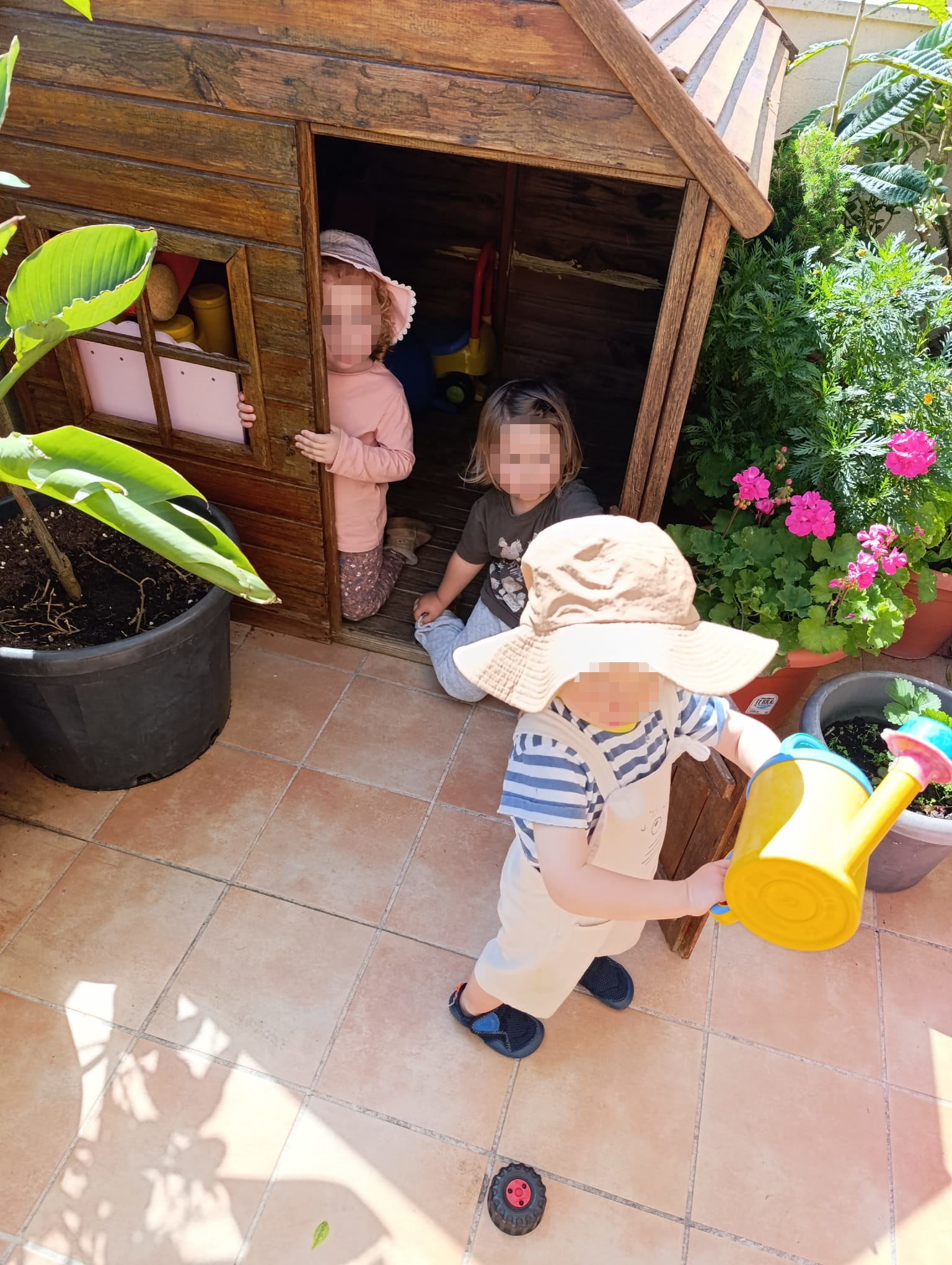 jardín · mañana